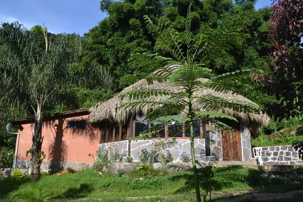 Eco Hotel La Jicarita Coatepec  Dış mekan fotoğraf