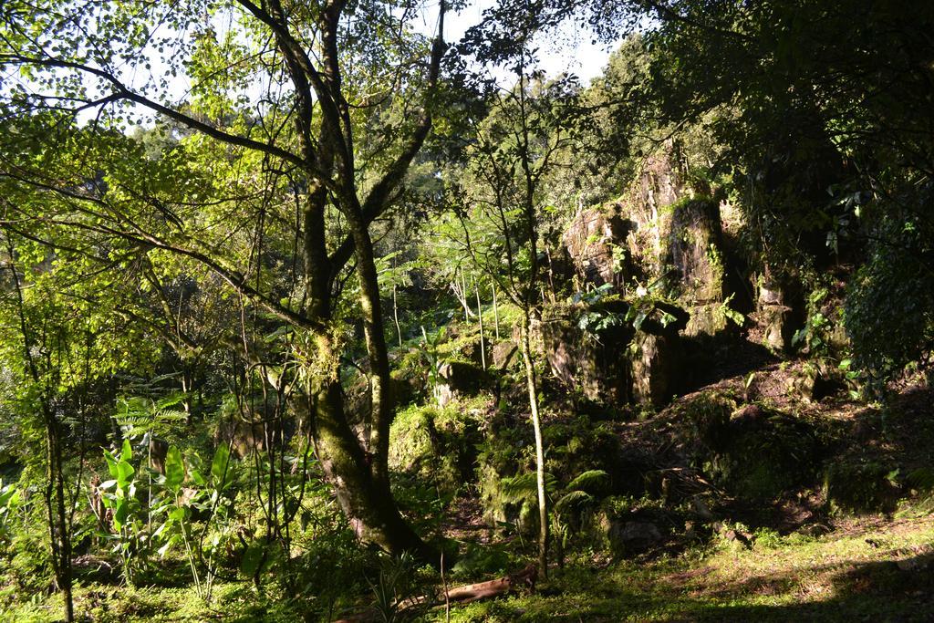 Eco Hotel La Jicarita Coatepec  Dış mekan fotoğraf