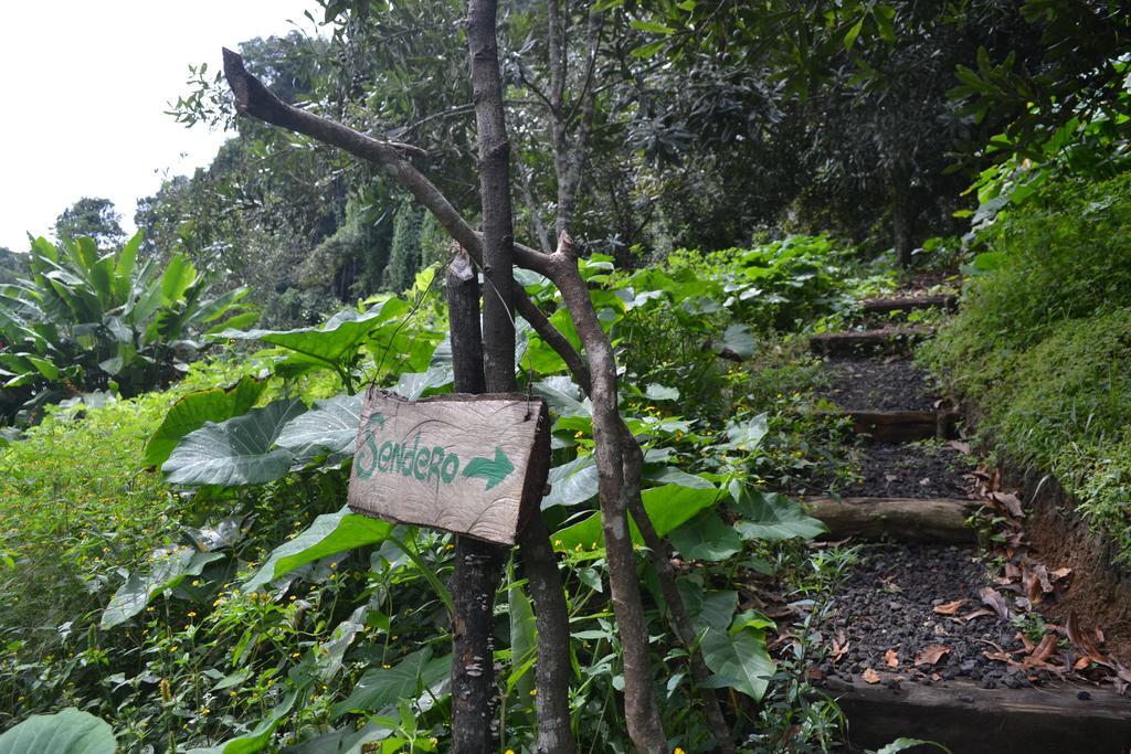 Eco Hotel La Jicarita Coatepec  Dış mekan fotoğraf