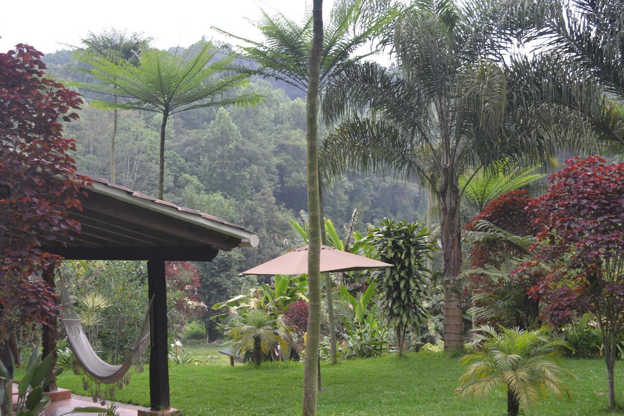 Eco Hotel La Jicarita Coatepec  Dış mekan fotoğraf